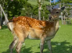 1?麈8kG錆!?鍄:)鎃[6觬?姒3還的简单介绍