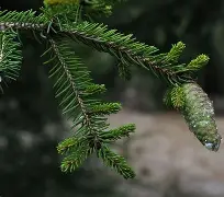 开云体育-c1212是什么